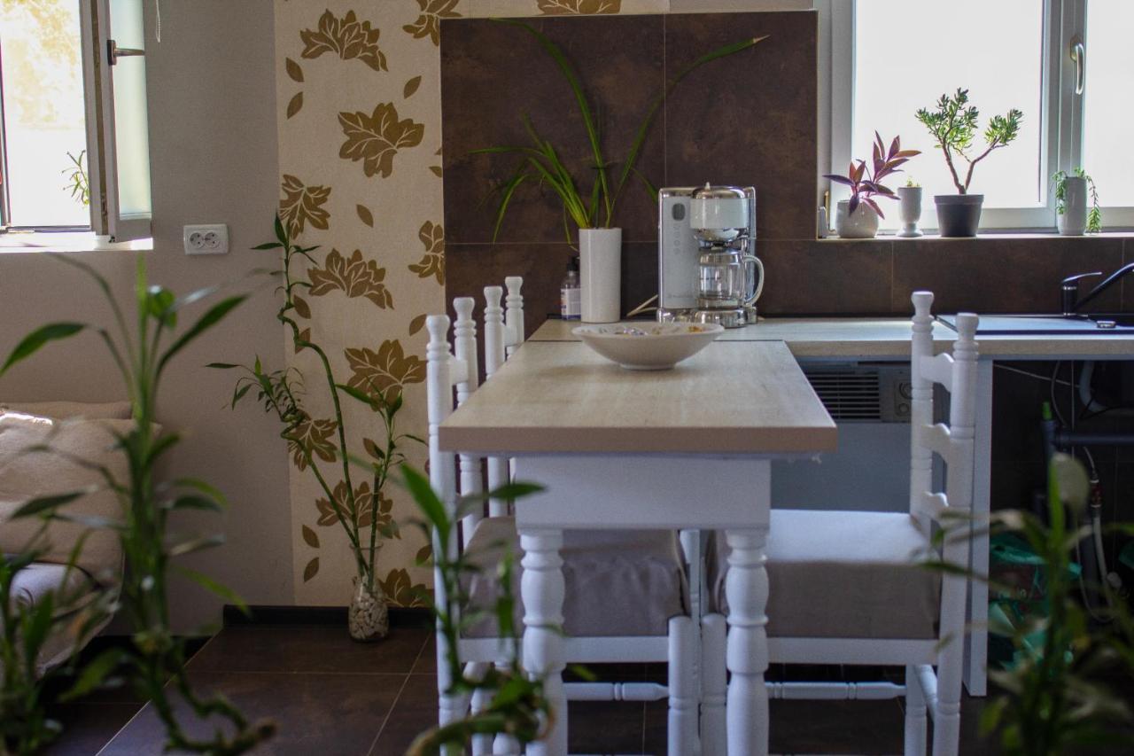 Yox Apartment 1 Nagyvárad Kültér fotó